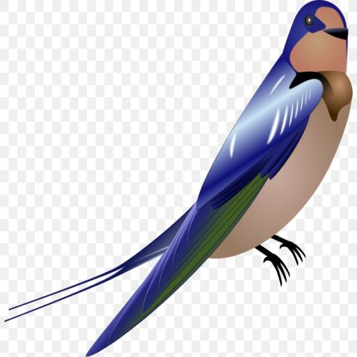 Unknown's avatar